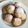 Cooksnap dari Putri Qadri untuk resep Oliebollen (gorengan asal belanda)