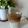 Cooksnap Liana Nick semasa beliau membuat Dalgona Coffee.