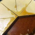 Cooksnap dari adelina untuk resep Puding Custard lapis Coklat