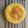 El cooksnap de Noelia Alonso Pa cuando hizo Tortilla de coliflor y cebolla (con sabor a tortilla de patata de toda la vida).