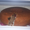 El cooksnap de Elena Esteban cuando hizo Budín integral 😋.