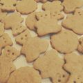 Kambii's cooksnap of when they made Vickys Gingerbread Men -Christmas & Halloween GF DF EF SF NF.
