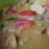 Cooksnap dari Jeny AfterMorning untuk resep Tongseng ayam