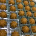 Cooksnap dari Adit Eksiharuman untuk resep Bolu Kukus Sakura Legit, Lembut dan Anti Gagal