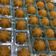 Cooksnap dari Adit Eksiharuman untuk resep Bolu Kukus Sakura Legit, Lembut dan Anti Gagal