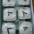 Cooksnap dari tri estriani untuk resep Kue Lumpur Surga