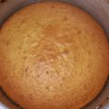 El cooksnap de Romina De Ruiz cuando hizo Budín de mandarinas en licuadora. Rico y fácil 🙌.