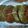 Chetana Bhojak's cooksnap of when they made हराभरा कबाब (harabhara kabab recipe in marathi).