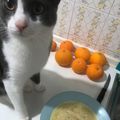 Cooksnap από Roula Ant στη συνταγή Φιδές σούπα