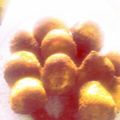 mwangiyvonne's cooksnap of when they made Cinnamon Doughnut Holes.