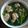 Cooksnap của Vũ Nguyễn khi họ làm theo món Canh mọc nấu sà lách xoong 😊