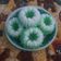 Cooksnap dari ibuk alif untuk resep Putu ayu lembut menul