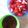 Cooksnap dari Octavianti Gustin untuk resep Rujak Buah sambal kacang