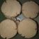 Cooksnap dari Anisah Ummu Hud untuk resep Kue Sagu 3 bahan. Simpel!