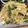 El cooksnap de Maiko Kamata cuando hizo Pasta con camarones.