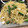 El cooksnap de Maiko Kamata cuando hizo Pasta con camarones.
