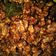 Cooksnap dari Indah Setiowati untuk resep Orek tempe kering manis
