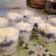 Cooksnap dari hawa untuk resep Cream Cheese Oreo