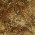 صورة من أم حاتم "، شاركها بعد تجربة وصفة صيادية بسمك الفيليه