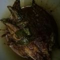 Cooksnap dari Esti Rahmawati untuk resep Ikan Balado (pindang Salem presto)