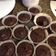 El cooksnap de Analia camejo rivero cuando hizo Muffins con chips de chocolate.