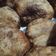 Cooksnap dari Nita Arianti untuk resep Cekodok Pisang