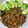 รูป Cooksnap ของ Theeranuch Cat เมื่อเขาทำ ลาบหมูคั่ว แบบเหนือๆ