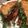 wgreen39's cooksnap of when they made fabulous facon (fake bacon for sandwiches and snacks).