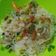 Cooksnap dari susantyy susantynani untuk resep Bihun goreng putih