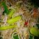 Cooksnap dari Sity Napasha untuk resep Tumis sawi dan toge..