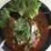 รูป Cooksnap ของ ป่าน ศิริภัสสร เมื่อเขาทำ ยำปลากระป๋อง