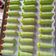 Cooksnap dari Silvia Adzahrav untuk resep Kue kering ulat daun tanpa oven 3 bahan buat lebaran