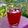 𝒳𝓇𝓊𝓈𝑜𝓊𝓁𝒶 𝒦𝑜𝓃𝓉𝑜𝓅𝑜𝓊𝓁𝑜𝓊's cooksnap of when they made Hibiscus flowers Tea.