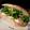 Cooksnap από 𝒳𝓇𝓊𝓈𝑜𝓊𝓁𝒶 𝒦𝑜𝓃𝓉𝑜𝓅𝑜𝓊𝓁𝑜𝓊 στη συνταγή Τοστ με τα όλα του!