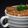 紀冠瑀 的 前菜：法式洋蔥湯 cooksnap