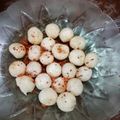 Cooksnap dari N Indah Lestari untuk resep Cimol boncabe L15