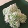 Cooksnap dari Yosi prasetyoko untuk resep Klepon #JelajahResepRumahan