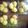 Cooksnap dari فتار دوا untuk resep KUE SUS anti gagal
