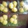 Cooksnap dari فتار دوا untuk resep KUE SUS anti gagal