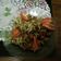 Cooksnap dari imanuroh untuk resep Tumis tempe tauge