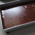 Cooksnap dari Febrina Mulya untuk resep Puding coklat-susu (nutrijel)