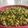 El cooksnap de Montserrat Andrade cuando hizo Ensalada de garbanzos con brócoli.