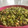 El cooksnap de Montserrat Andrade cuando hizo Ensalada de garbanzos con brócoli.