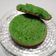 Cooksnap dari Bunda RAZS untuk resep Bika Ambon Pandan