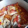 Cooksnap από tzoulitsa στη συνταγή Κοτόπουλο καλοκαιρινό
