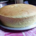 Cooksnap dari Sulau untuk resep Japanese Cheesecake Cheddar Ekonomis (Irit + No Rempong)