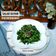 Cooksnap dari Bunda Almira untuk resep Salad Bayam (SiGeumChi NaMul)