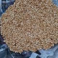 Cooksnap dari Nuning Listiyanti untuk resep 29. Kacang Bawang (Kacang Tojin Padang)