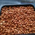 Cooksnap dari Opie Lampung untuk resep Kacang Pedas