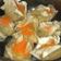 Cooksnap dari Ntha_Onyon untuk resep Siomay ayam Tanpa udang